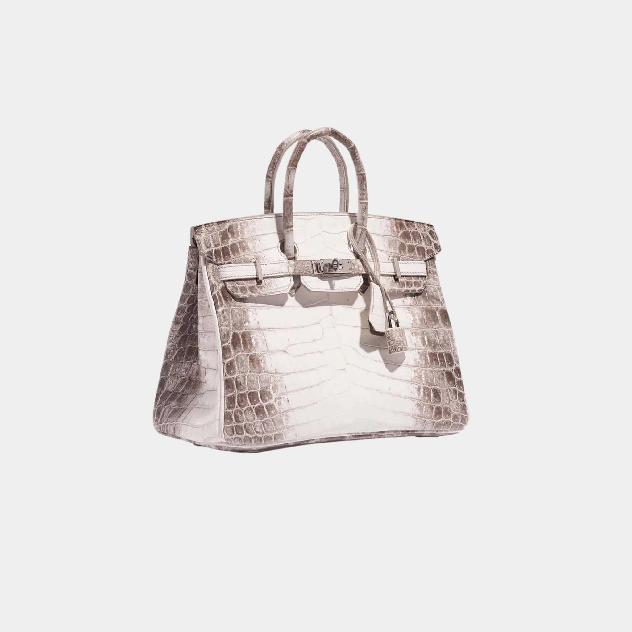 Birkin 25 Niloticus Crocodile Himalaya Blanc GHW - Image 4